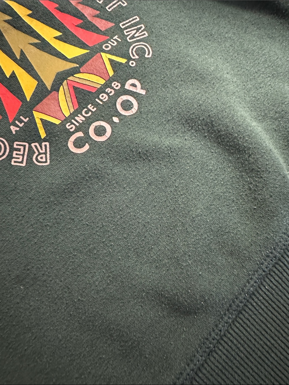 REI Kids Green Graphic Crewneck Sweatshirt with Yellow & Red Accents - Picture 4 of 5